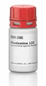Rhodamine 123