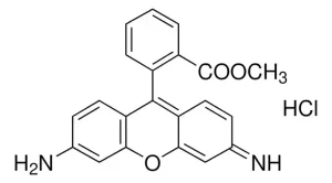 Rhodamine 123