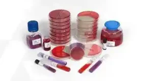 محیط کشت EC براث