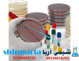 محیط کشت مانیتول سالت فنل رد آگار