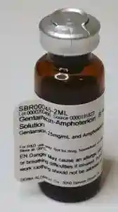 جنتامایسین آزمایشگاهی